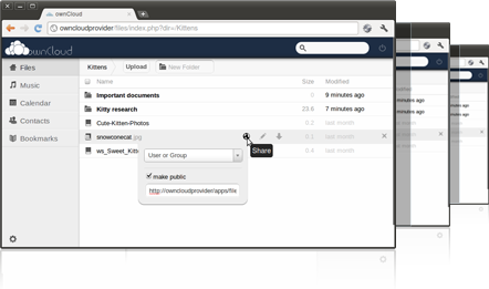 owncloud solution partner web-vision