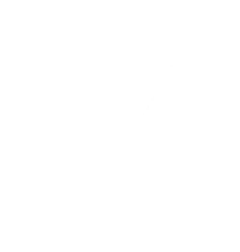 web-vision