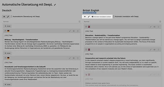 TYPO3 Extension DeepL Translate Screenshot: Activate Translated Content  TYPO3 Extension DeepL Translate Screenshot: Activate Translated Content
