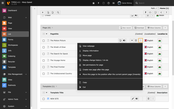 TYPO3 Backend: List module extended view TYPO3 Backend: List module extended view