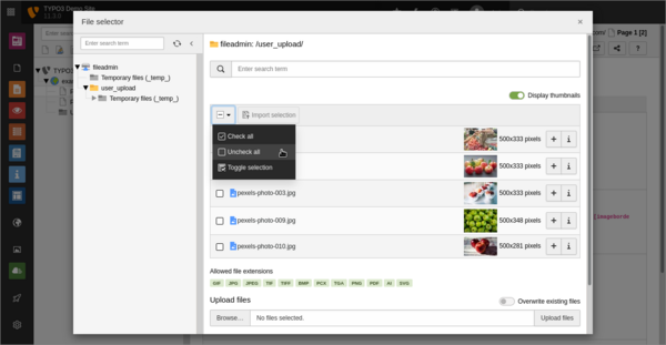 TYPO3 backend: Selection of files and data records TYPO3 backend: Selection of files and data records