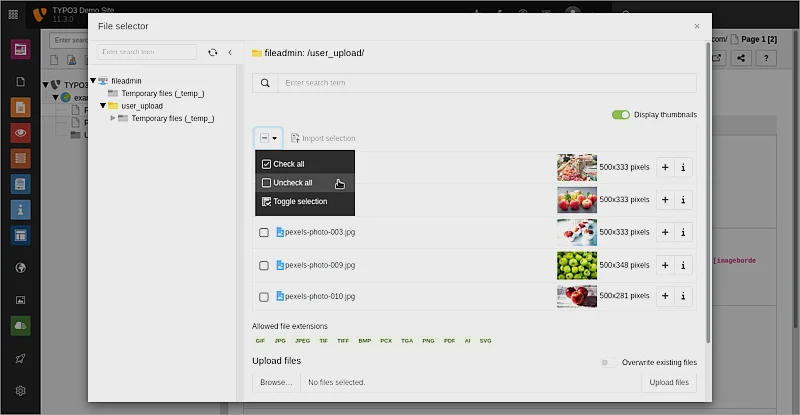 TYPO3 Backend: Auswahl von Dateien und Datensätzen