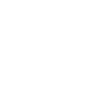 web-vision